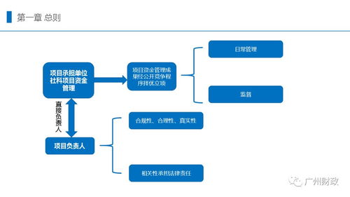 图解广州市市级财政社会科学研究项目资金管理暂行办法 医疗投资管理视角
