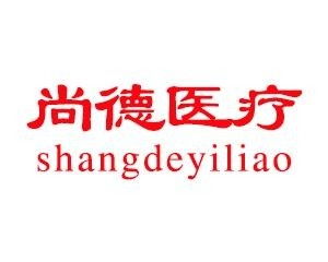 武汉尚德医疗投资管理 专业化路径与行业启示